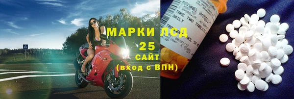 прущие грибы Вязники