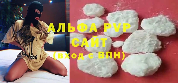 хмурый Вяземский