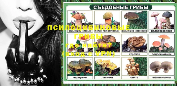 прущие грибы Вязники