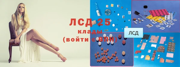 хмурый Вяземский