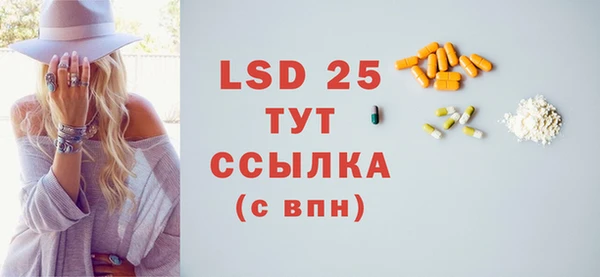 прущие грибы Вязники