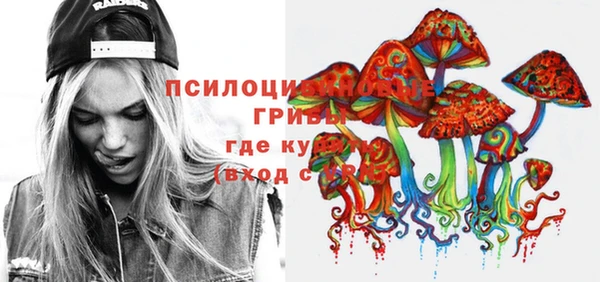 прущие грибы Вязники