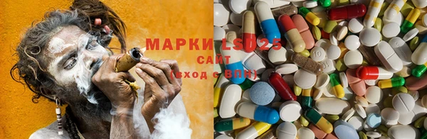 прущие грибы Вязники