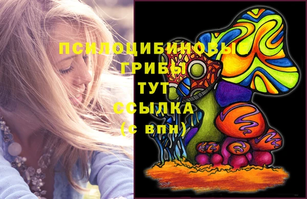 прущие грибы Вязники