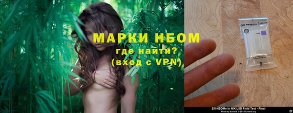 прущие грибы Вязники