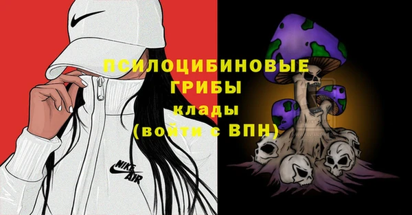 прущие грибы Вязники