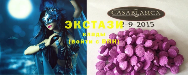прущие грибы Вязники